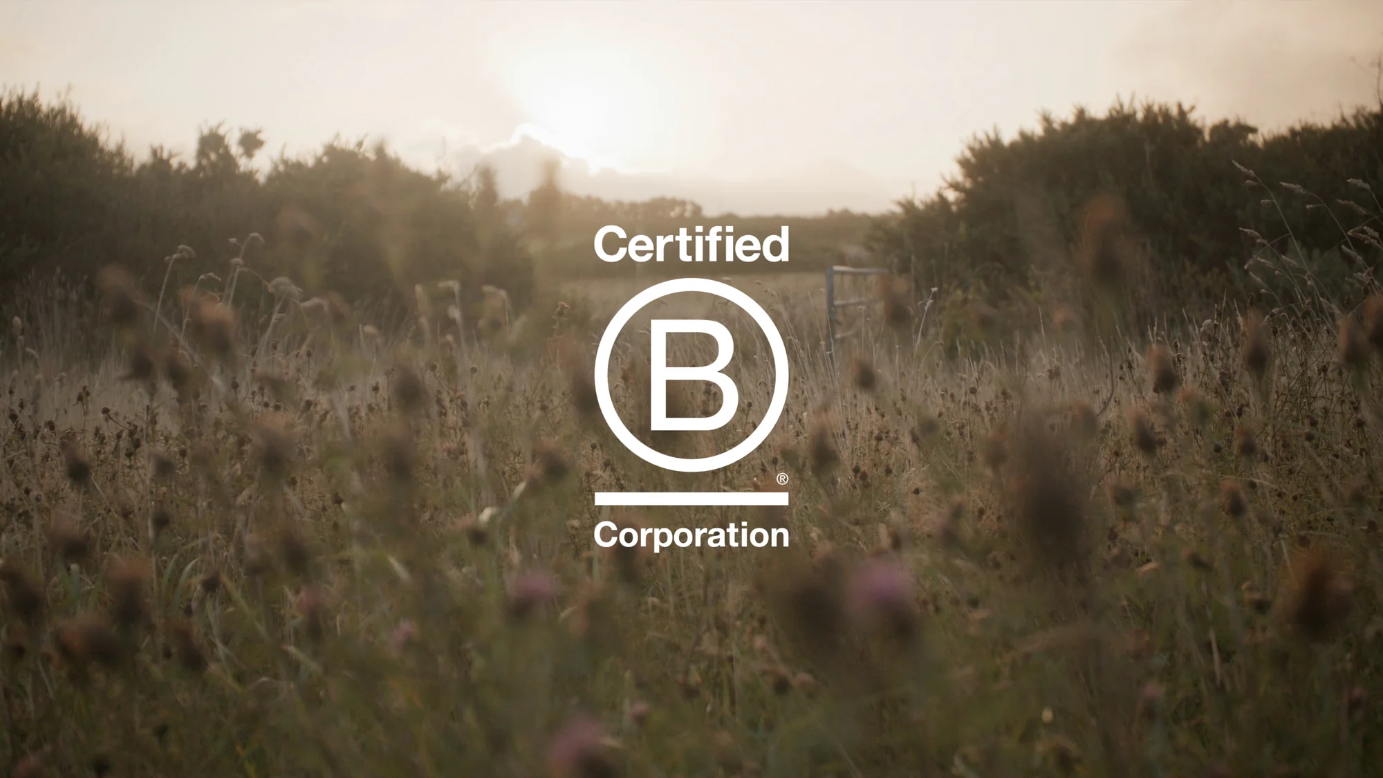 Wild Fragrances Crafted by Nature